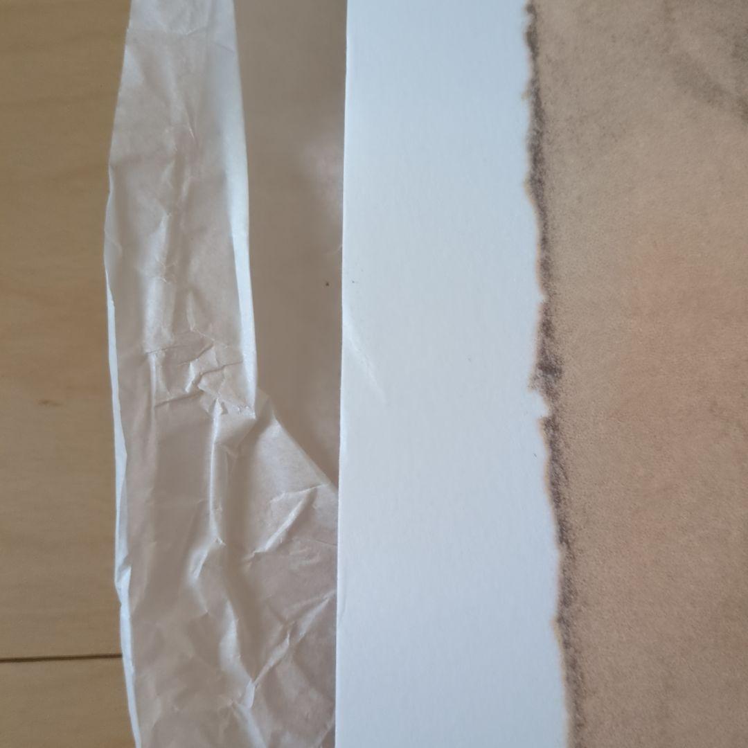 the last of us × 天野喜孝 デラックススクリーンプリント