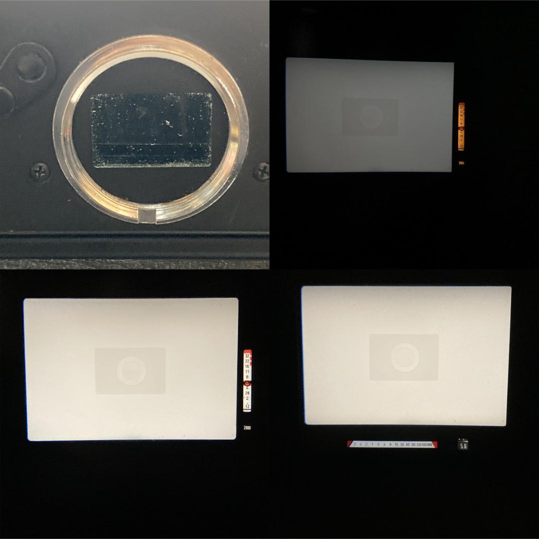 Canon NEW F-1[AEファインダーFN+50mmF1.4+フィルター]