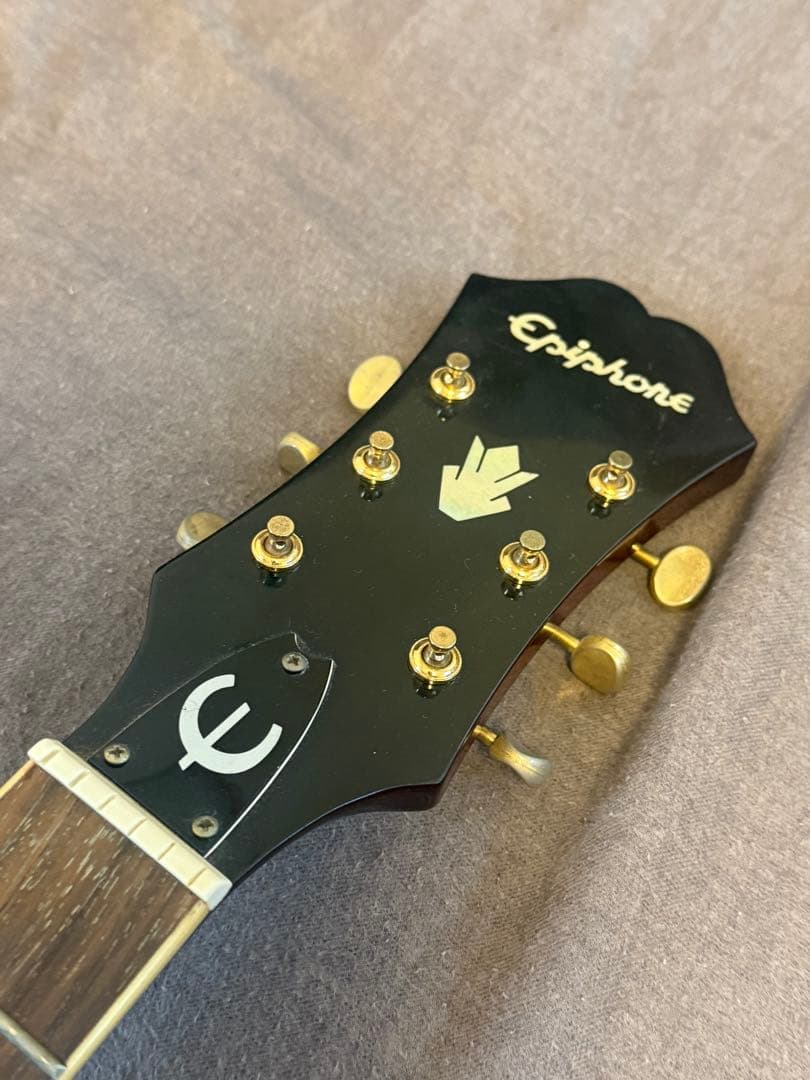 Epiphone Riviera p93 WR ギターケース付