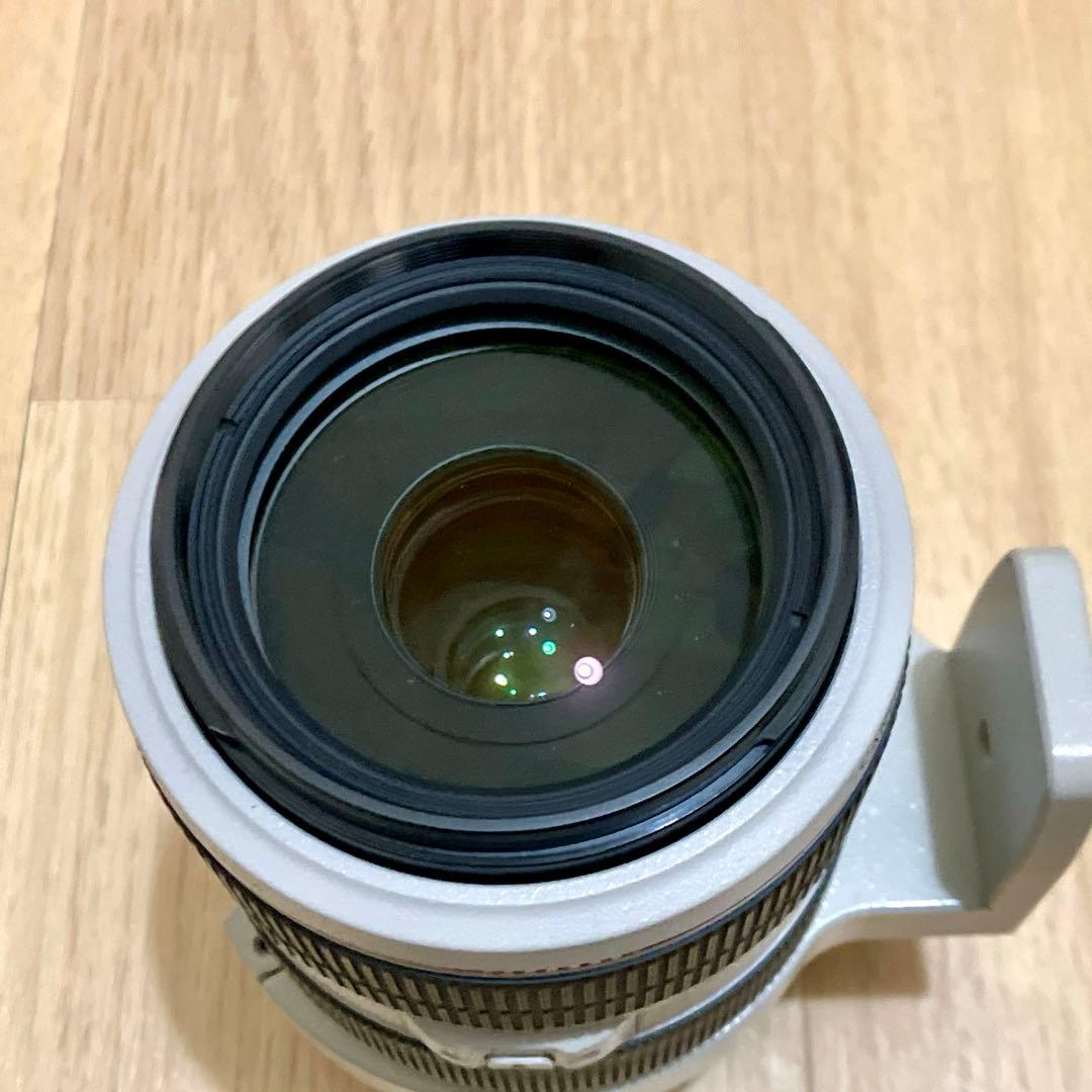 レンズ(ズーム) Canon EF 70-300mm f/4-5.6 IS USM