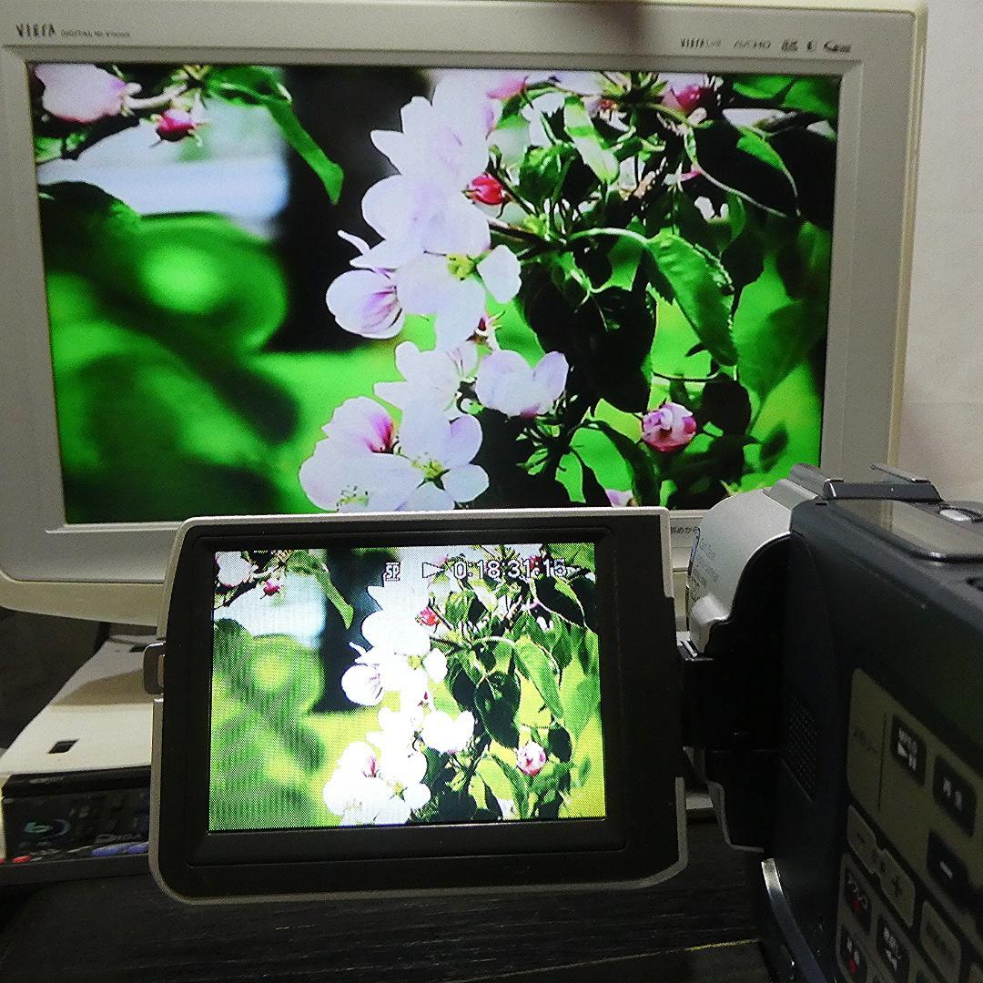 動作品 ソニーDCR-TRV107 MiniDV ビデオカメラ DVDダビングに