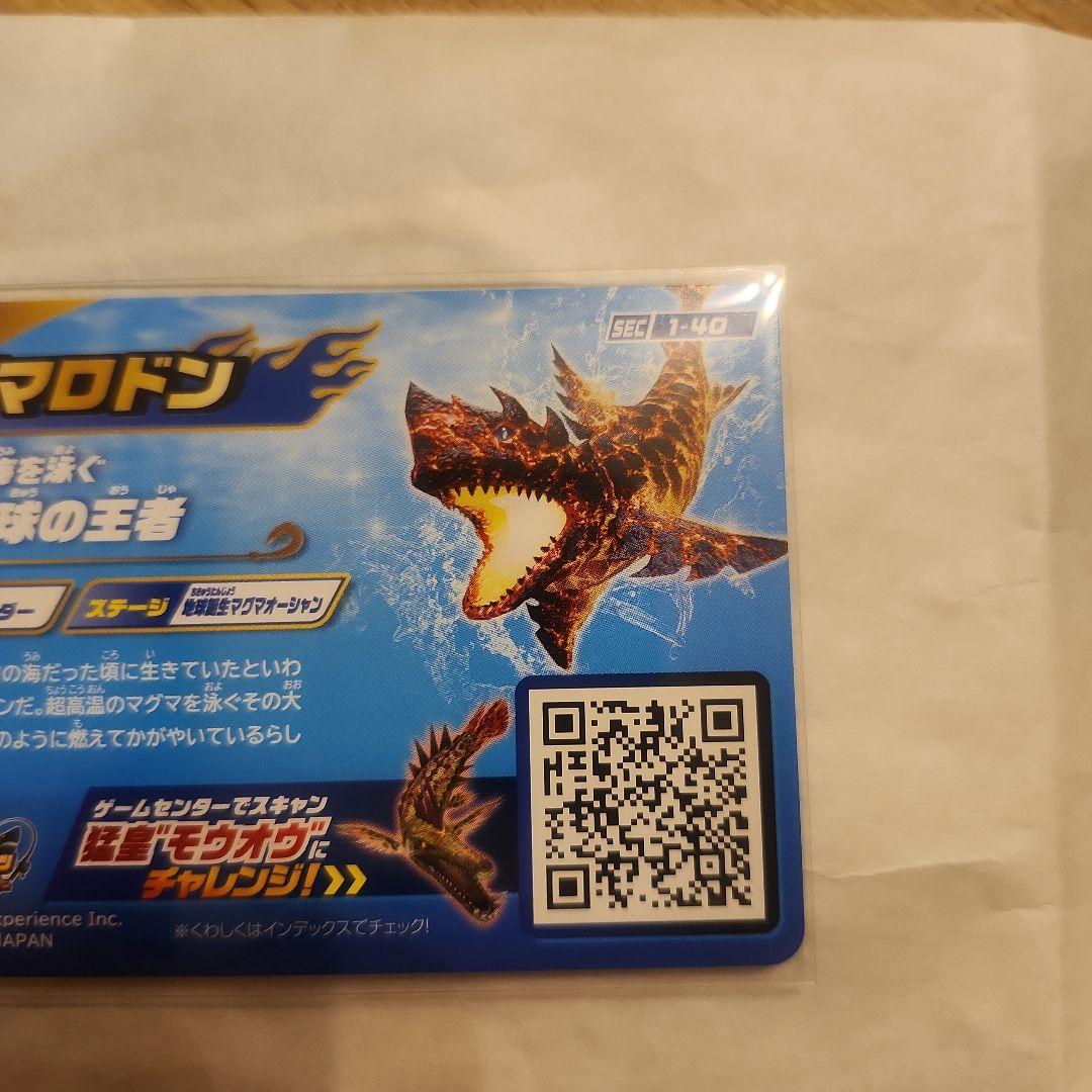 釣りスピリッツ　ワンダー　Vol.1シークレット　マグマロドン　SEC 1-40