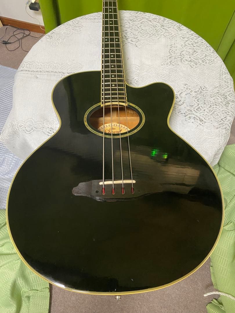 アンプラグで活躍！Aria Elecord FEB-02 エレアコベース