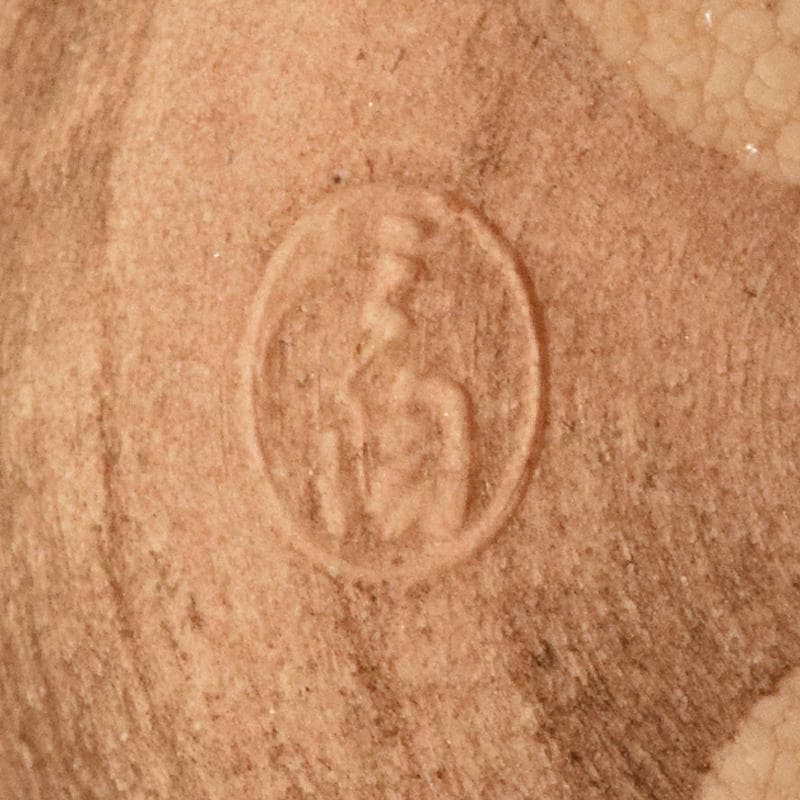 和食器 志野焼 絵志野 松文 雪輪形 菓子皿 五客 在銘 共