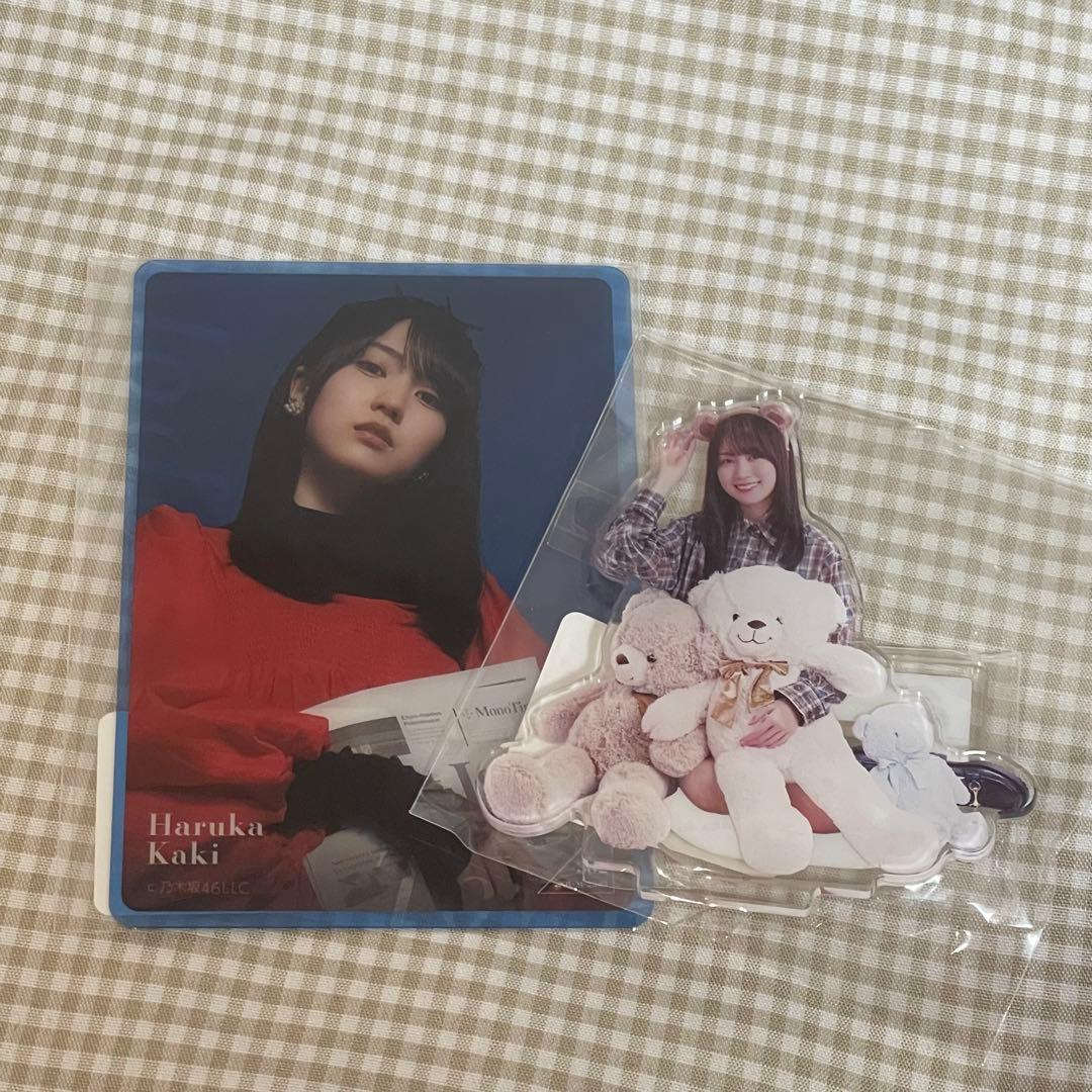 乃木坂46 賀喜遥香 A賞アクスタ Teddy Dream Town - メルカリ