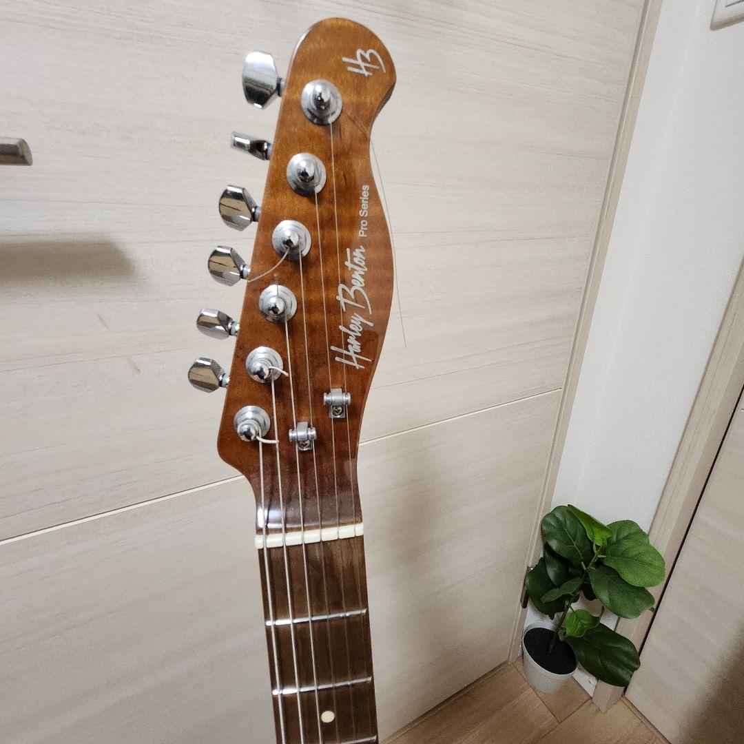 【最終値下げ】Harley Benton Fusion-T RoastedFNT