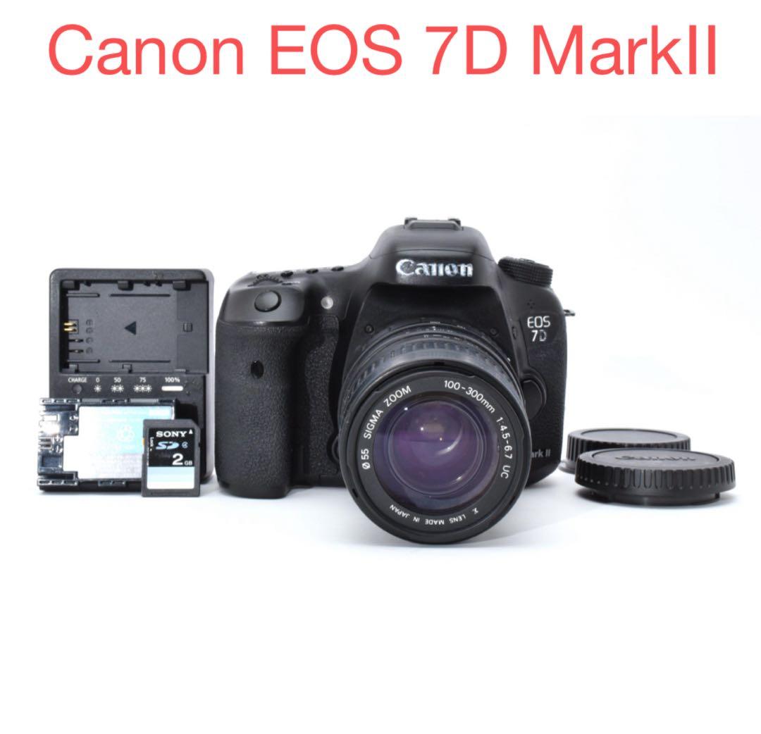Canon EOS 7D MarkⅡ望遠レンズセット/SIGMA 100-300