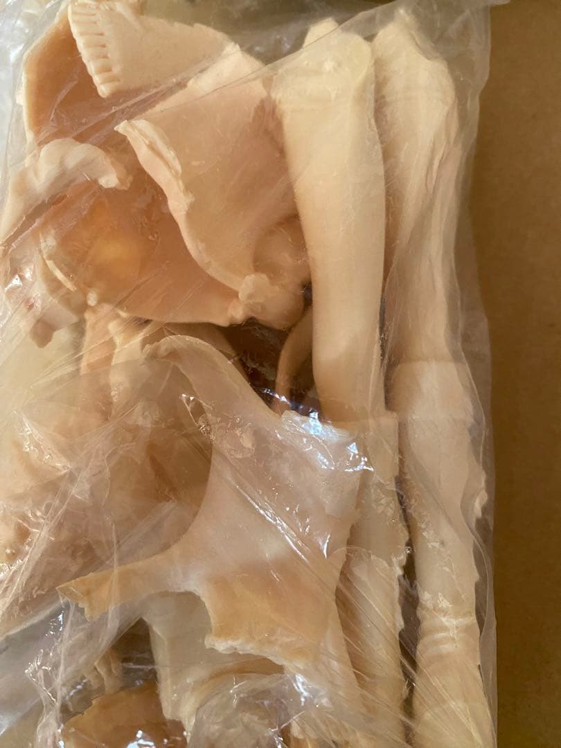 紡路本舗 綾波レイ ストリート・ダンスver. ガレージキット エヴァンゲリオン