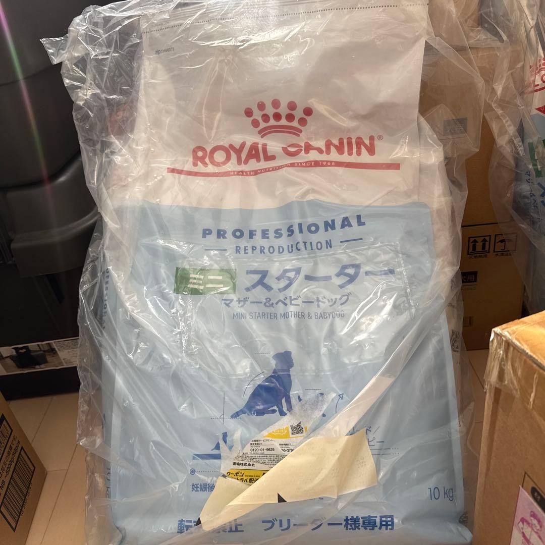ROYAL CANIN ミニスターター マザー&ベビードッグ 10kg