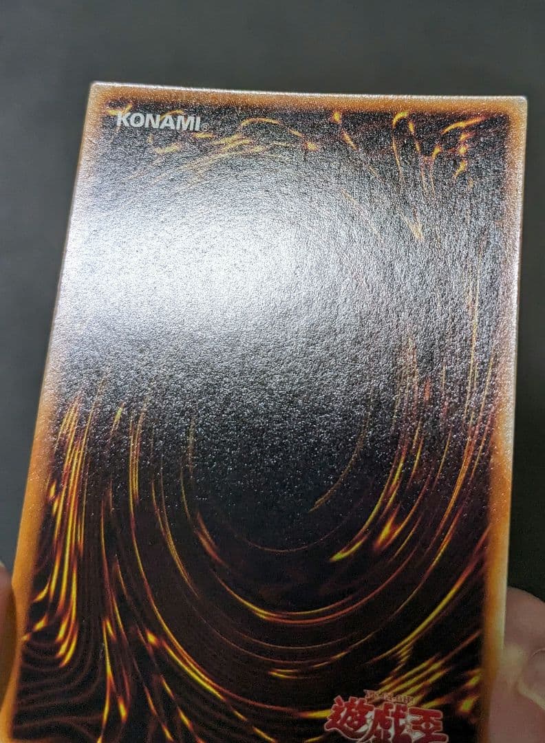 tynです。　ホーリーナイトドラゴン、初期、シク