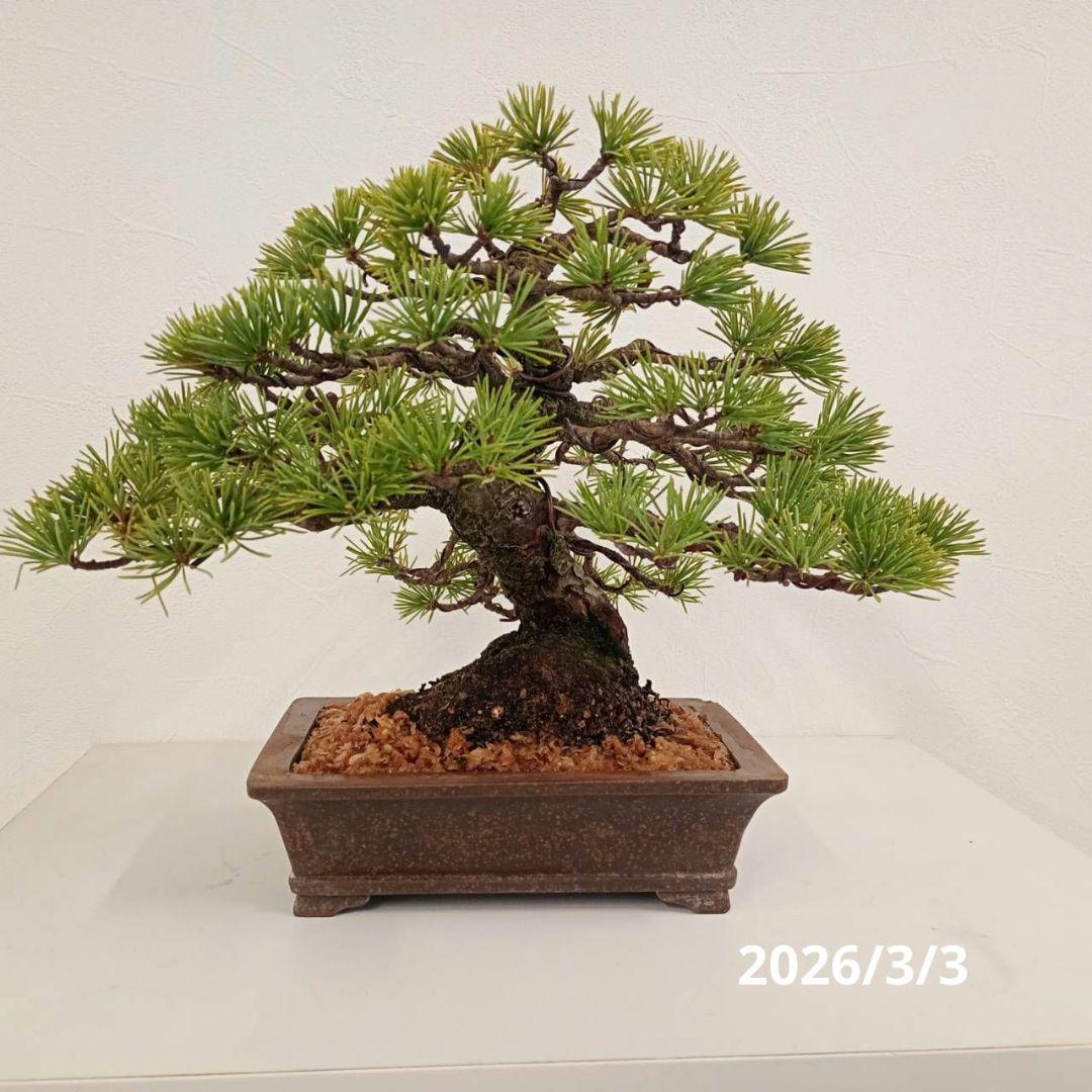 マーサスチュワート snowman 雪だるま 新品 ビッグパンチ スノーマン