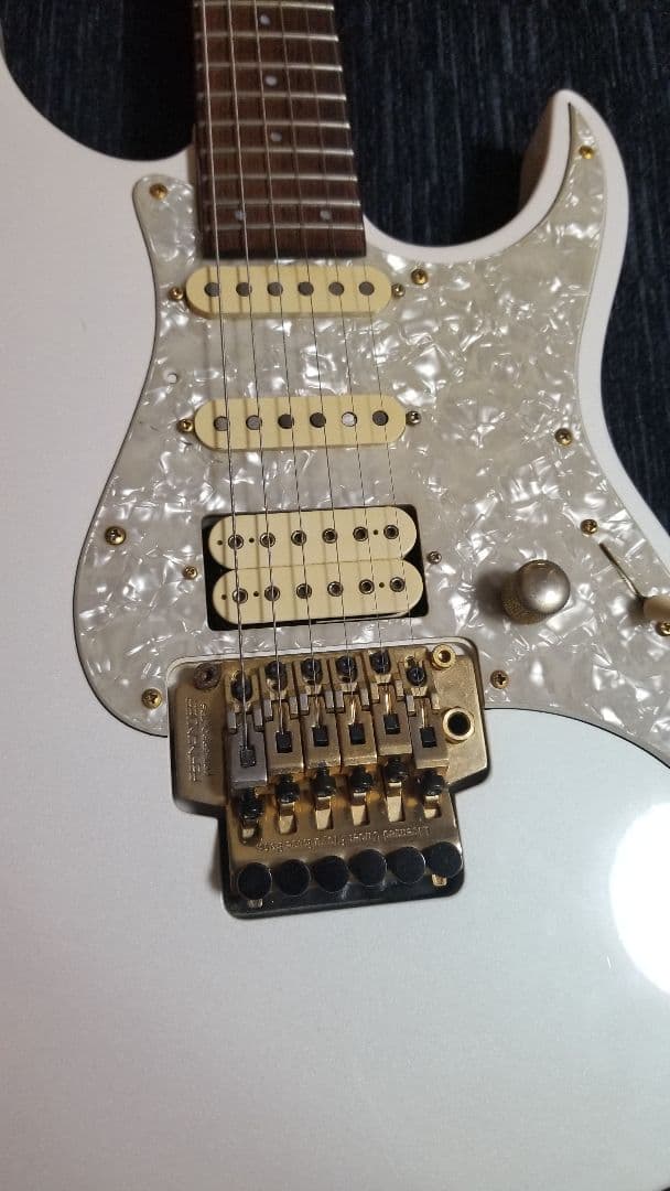 FERNANDES LA-80kk L´Arc-En-Ciel.Gotoh ペグ