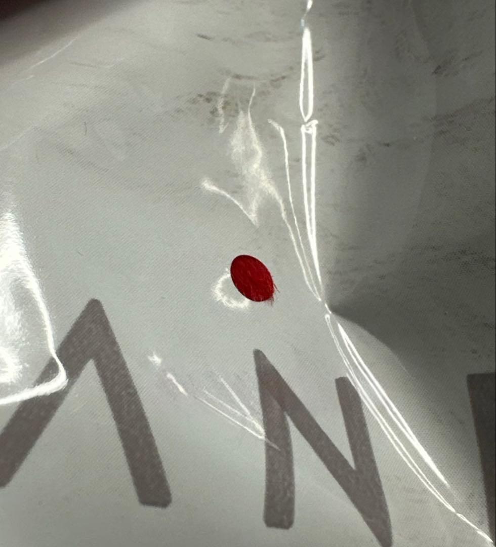 SKULLPANDA Winter Symphony ぬいぐるみ Secret