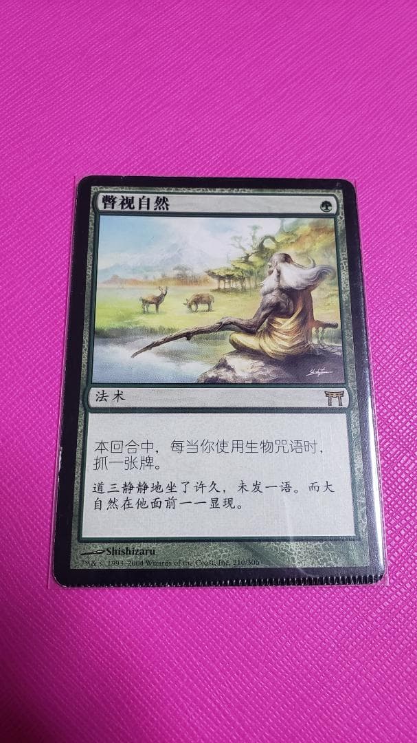 MTG 垣間見る自然 中国語 クリンプド エラーカード MTG 垣間見る自然 中国語 クリンプド エラーカード 垣間見る自然