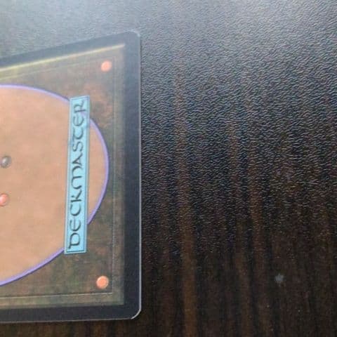 MTG　GuruLand（グルランド）　Mountain　１枚