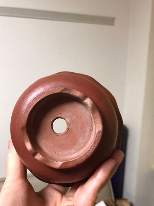 盆栽鉢 時代中国朱泥花型梅花図ミニ盆栽鉢13.5x7.3cm