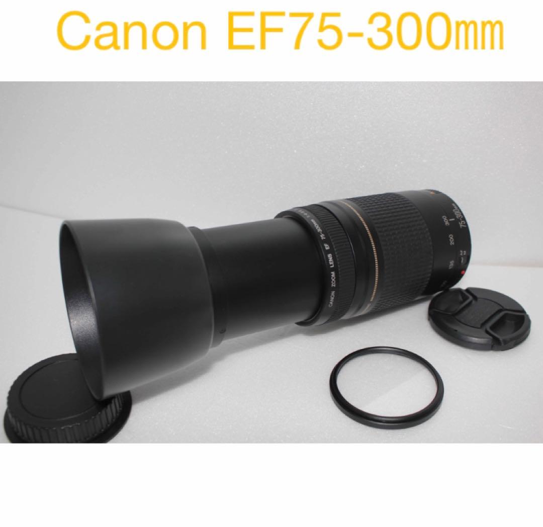 フード付き/人気の望遠レンズ/Canon EF75-300㎜