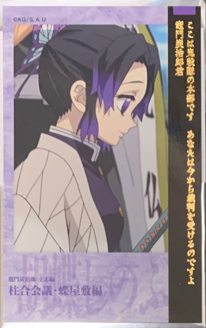 ☆ 鬼滅の刃 那田蜘蛛山&柱合会議・蝶屋敷編 両面チェキ風ブロマイド