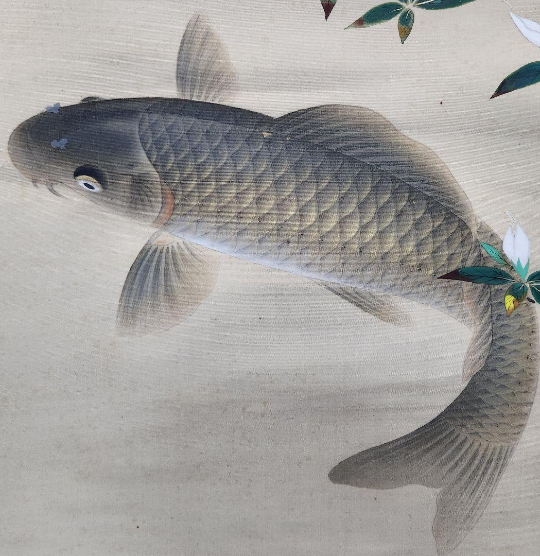 遊鯉図】佐野光穂 2639 コイ 掛け軸 肉筆