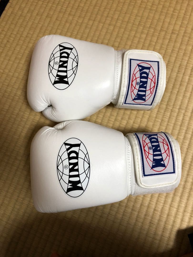 WINDY ボクシンググローブ 白 14oz WINDY ウィンディ トレーニング