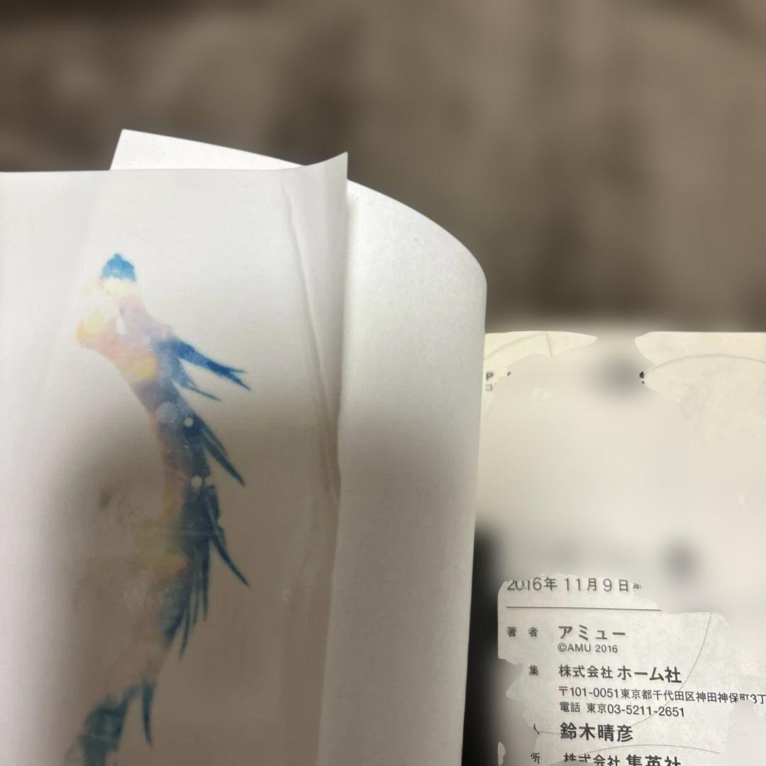 この音とまれ 全巻 1 33巻 アミュ 初版本多数 アニメ化 この音とまれ!