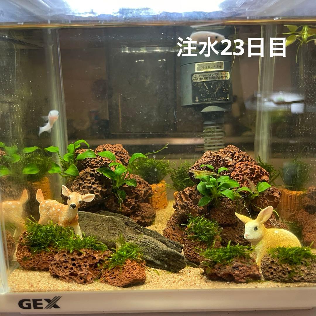 白丹波 流釉壺 | 骨董と詩学 Antique & Poetics | 蛇韻律 飾って！【壺