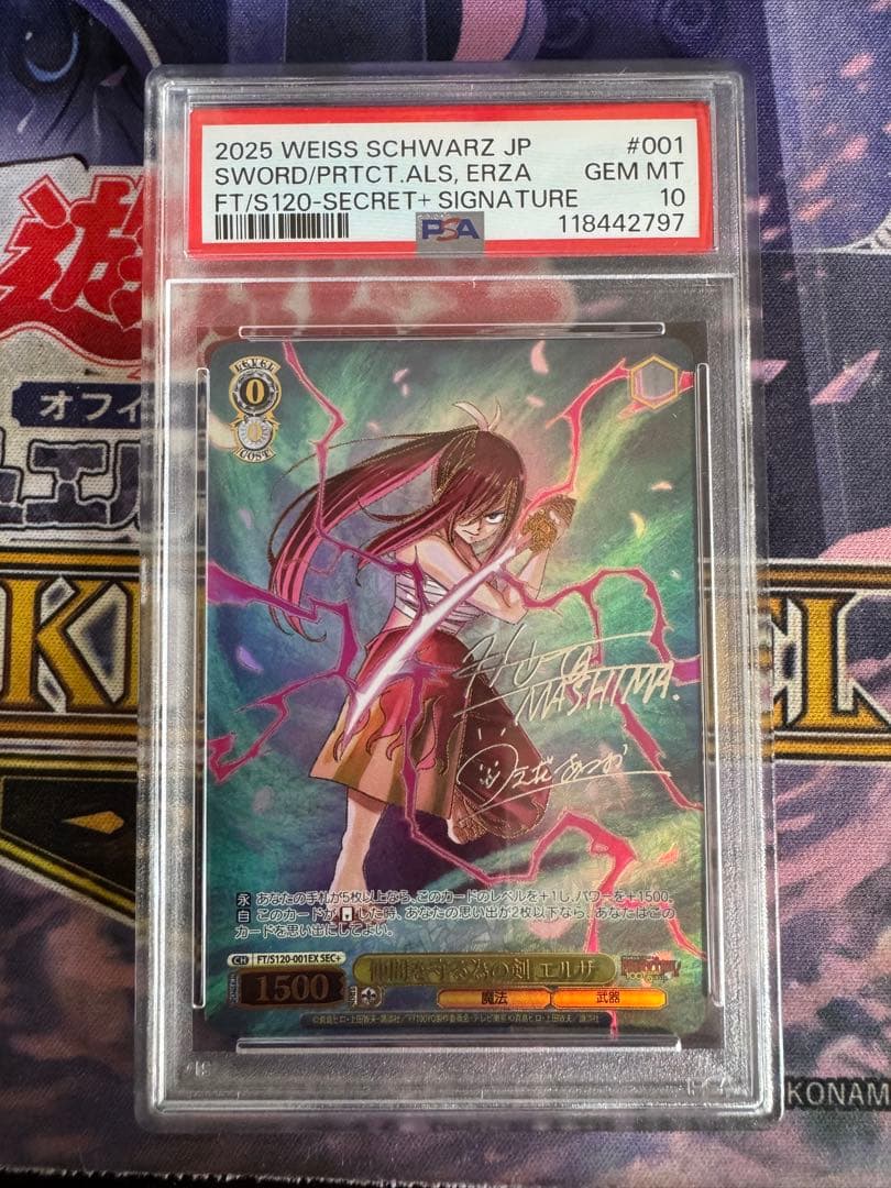 仲間を守る為の剣エルザ】ヴァイスシュヴァルツフェアリーテイルSEC＋