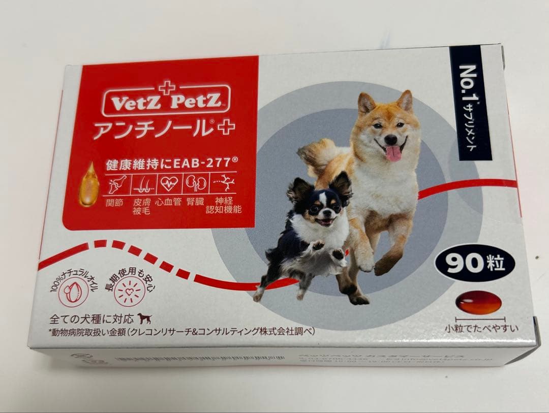 アンチノール 90粒