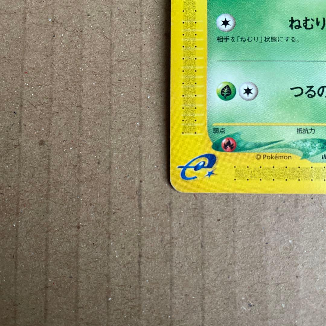 フシギダネ　eカード　アンリミ