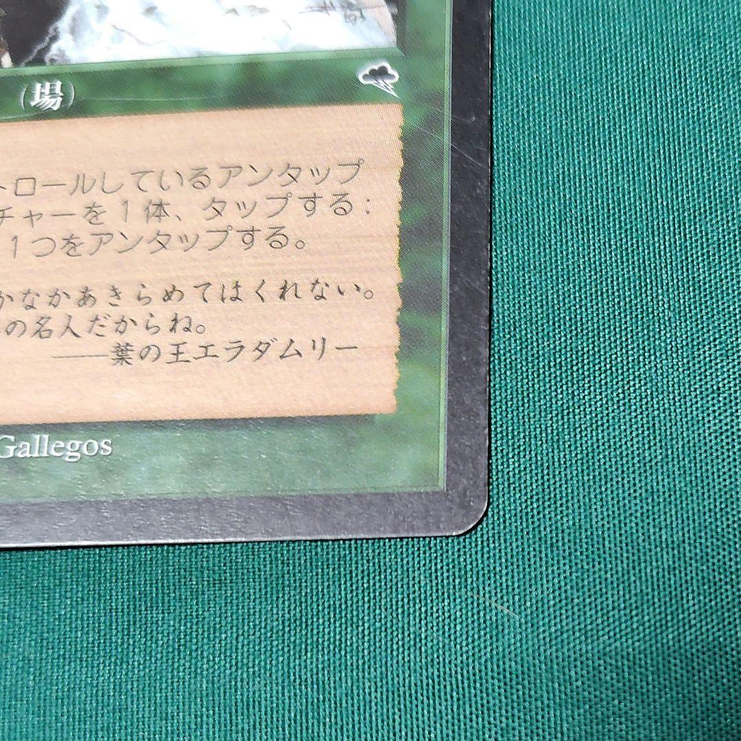 MTG 大地の知識