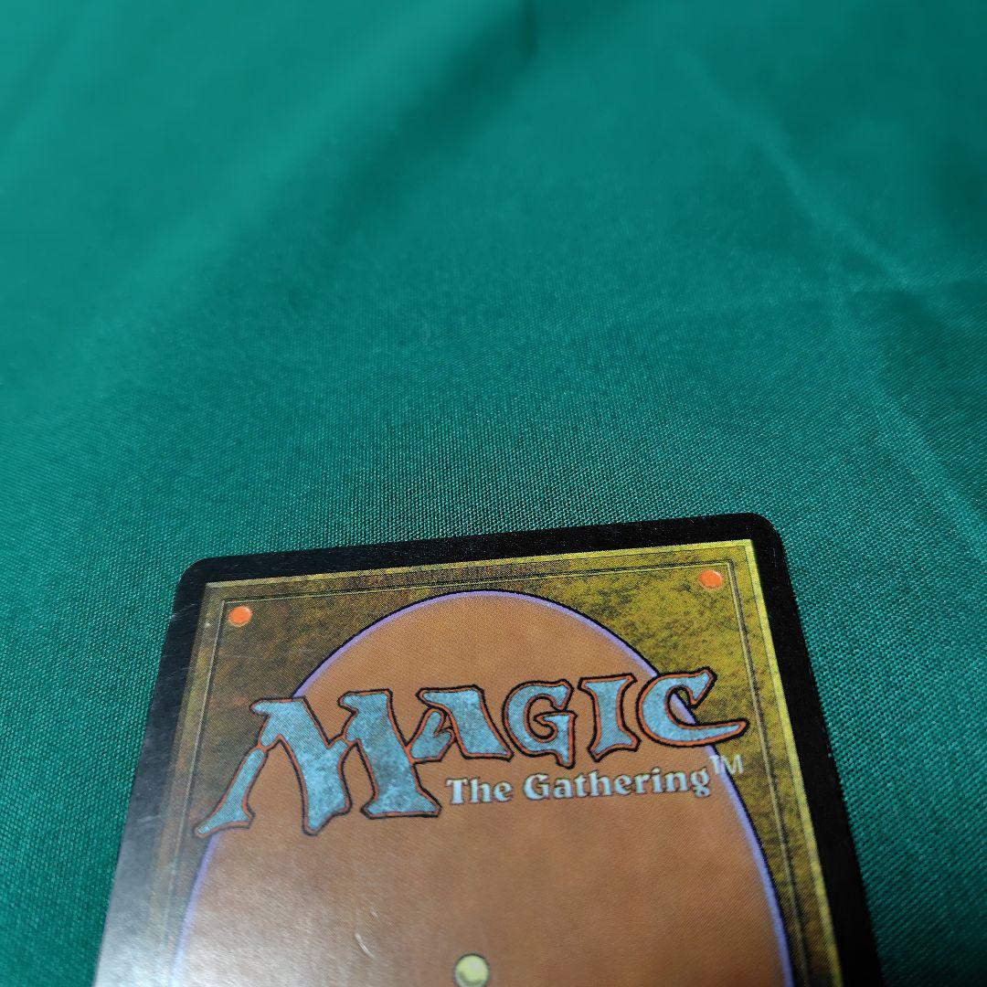 MTG 大地の知識