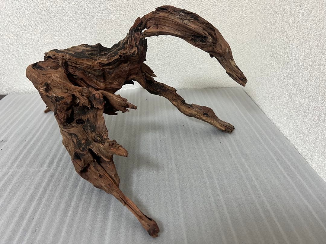 HX-079 流木 ホーンウッド マシンガンウッド アクアリウム ブランチ