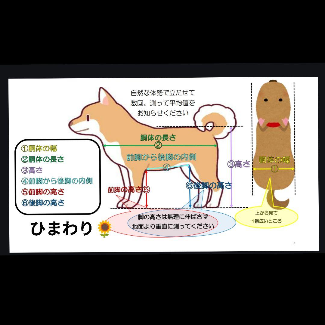 フレブル4輪 リハビリ 食事補助 犬用車椅子 介護用品 犬の歩行器の通販