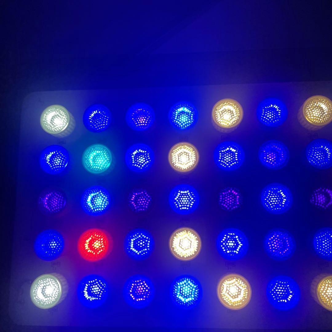 ブラックボックス LED 165w 4/4以降9,500に戻します