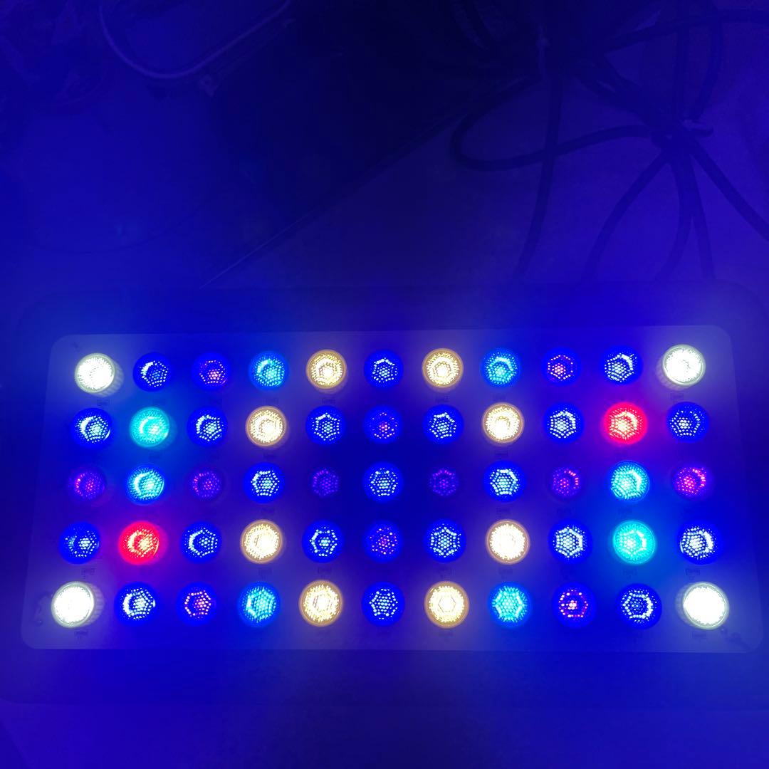 ブラックボックス LED 165w 4/4以降9,500に戻します