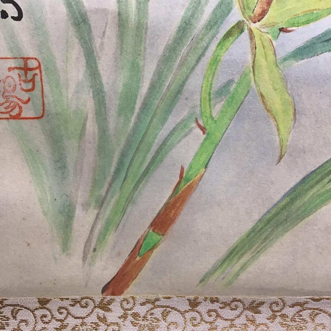 K茶道具 掛軸 「洋蘭の図」 古楊作 共箱 S1007KJ