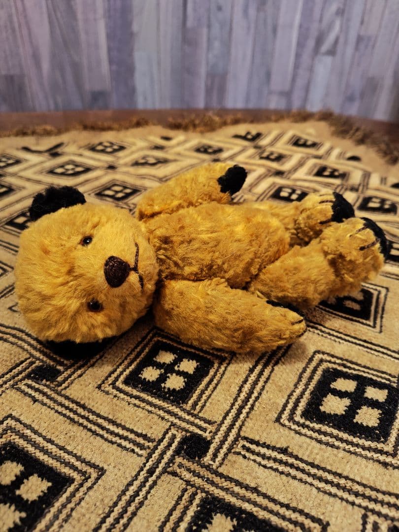 スーティー 1950年代