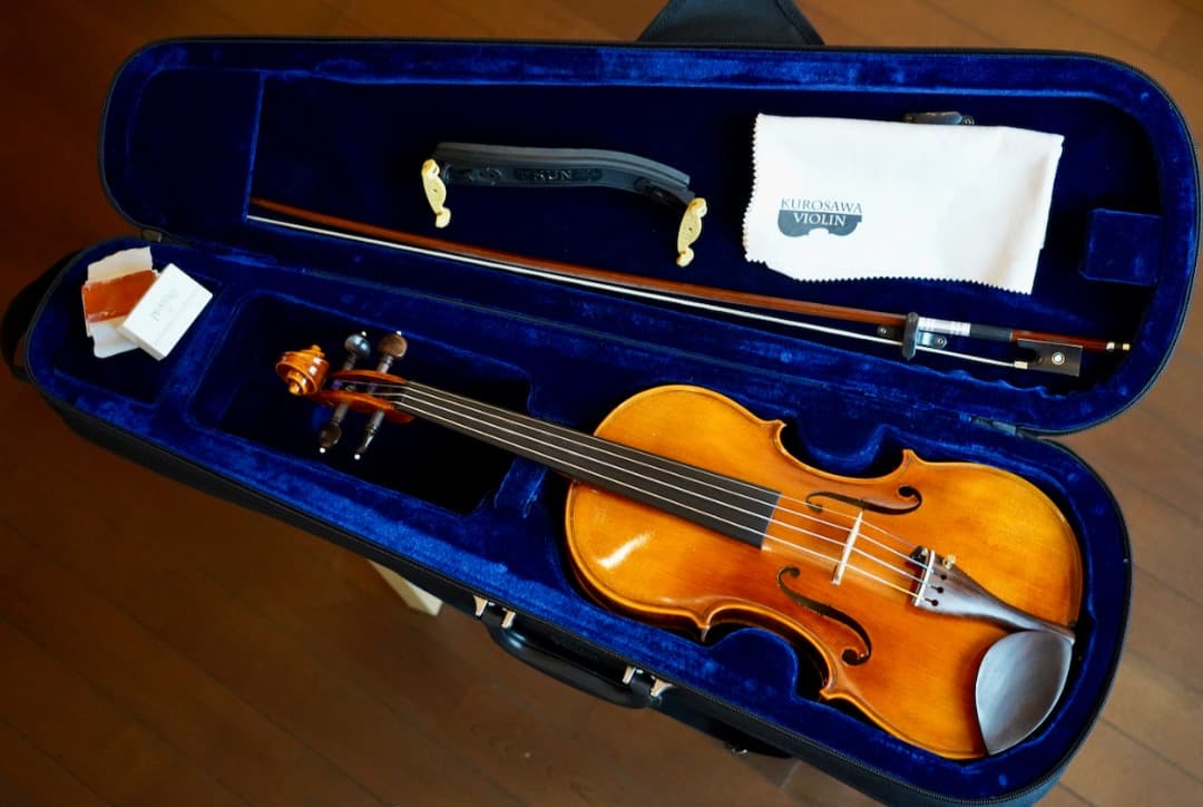 別格】R.Paesold No.806 バイオリン 4/4 - メルカリ
