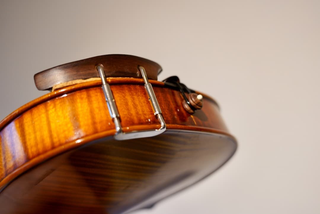 別格】R.Paesold No.806 バイオリン 4/4 - メルカリ