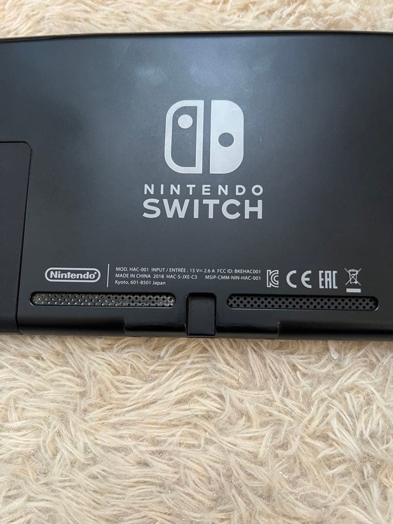 Nintendo Switch 本体とジョイコンのみです。