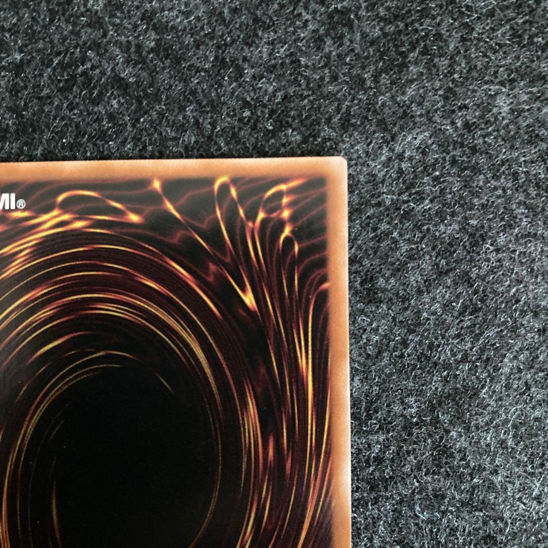 【最安値 希少】DDスケール・サーベイヤー 赤シク 赤シークレット