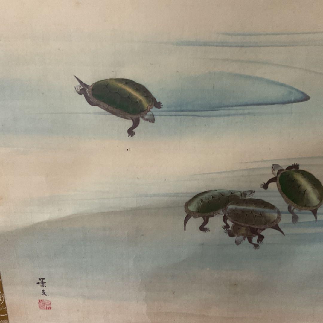 松村景文筆 複製掛軸復刻版 【青梅亀図 】 桐箱 タトウ箱付