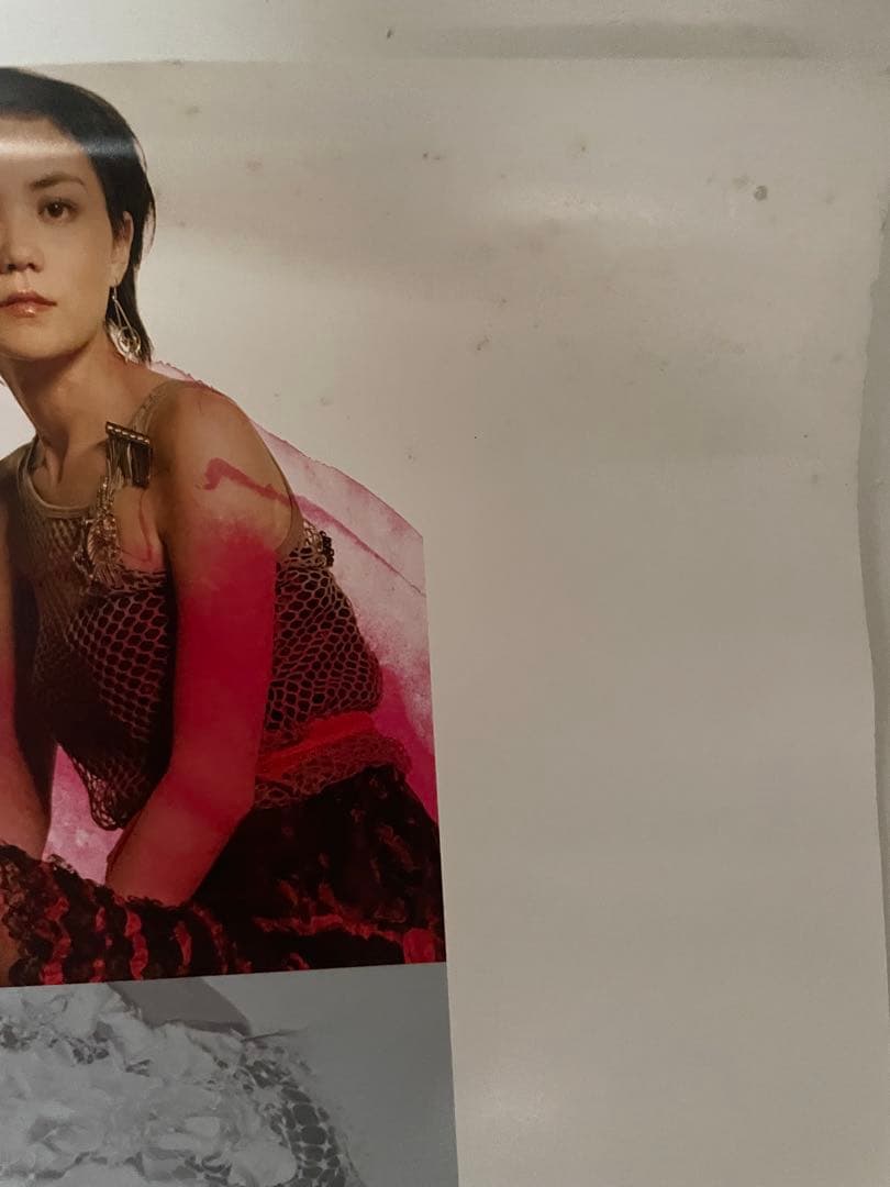 激レア！フェイ・ウォン 2003年CD「光の翼」B2告知ポスター puistevilla.ee