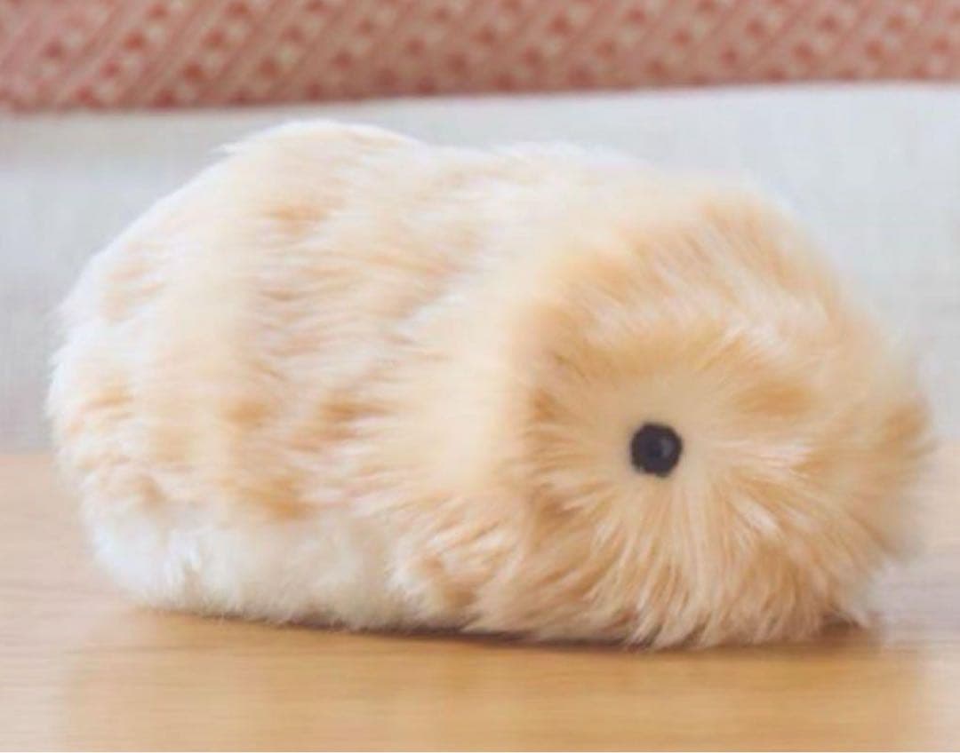 新品 AIペット コミュニケーションロボットmoflin モフリン ゴールド