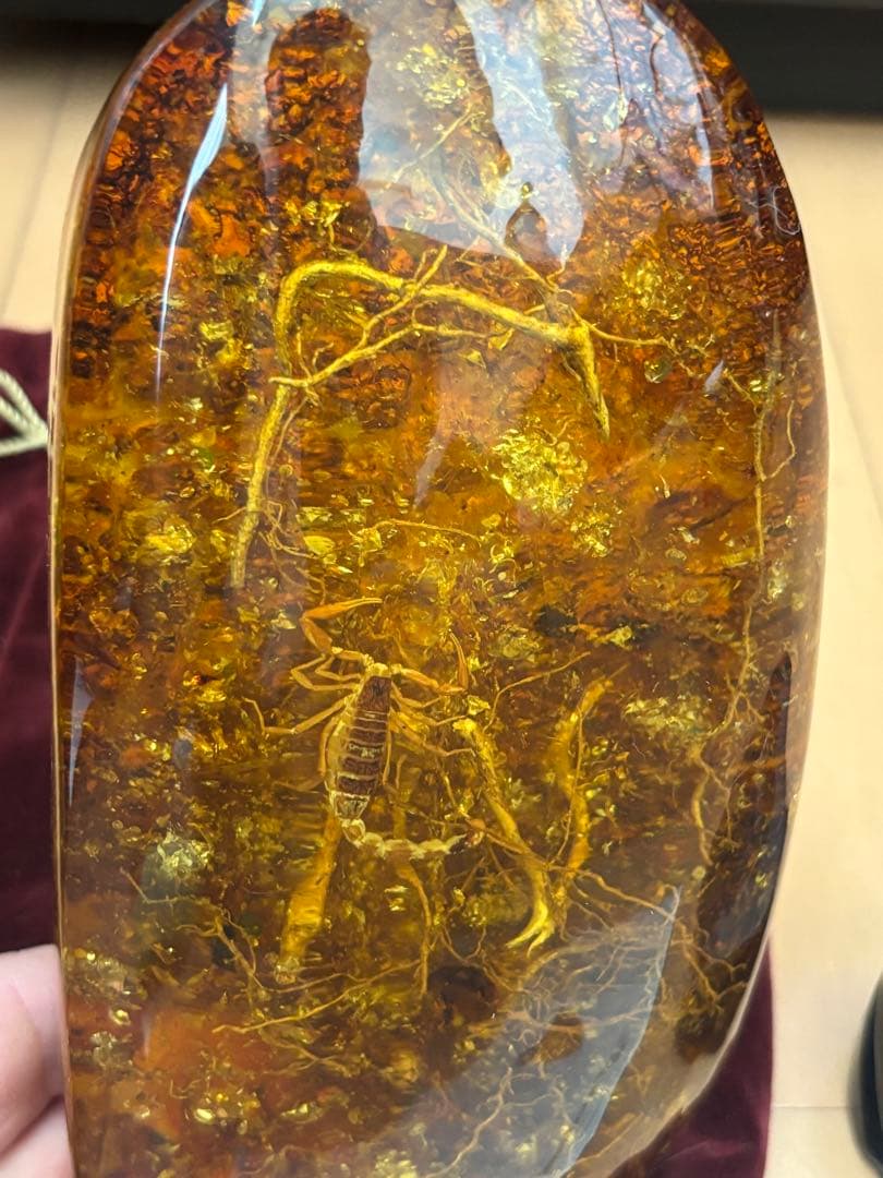天然琥珀 虫入り約800g 特大 宝石鑑別書横10cm 縦19cm 厚さ