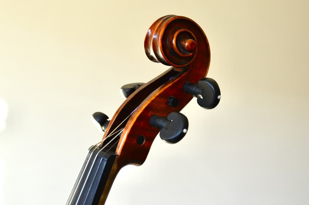 【極上響音】GLIGA VASILE gama 4/4