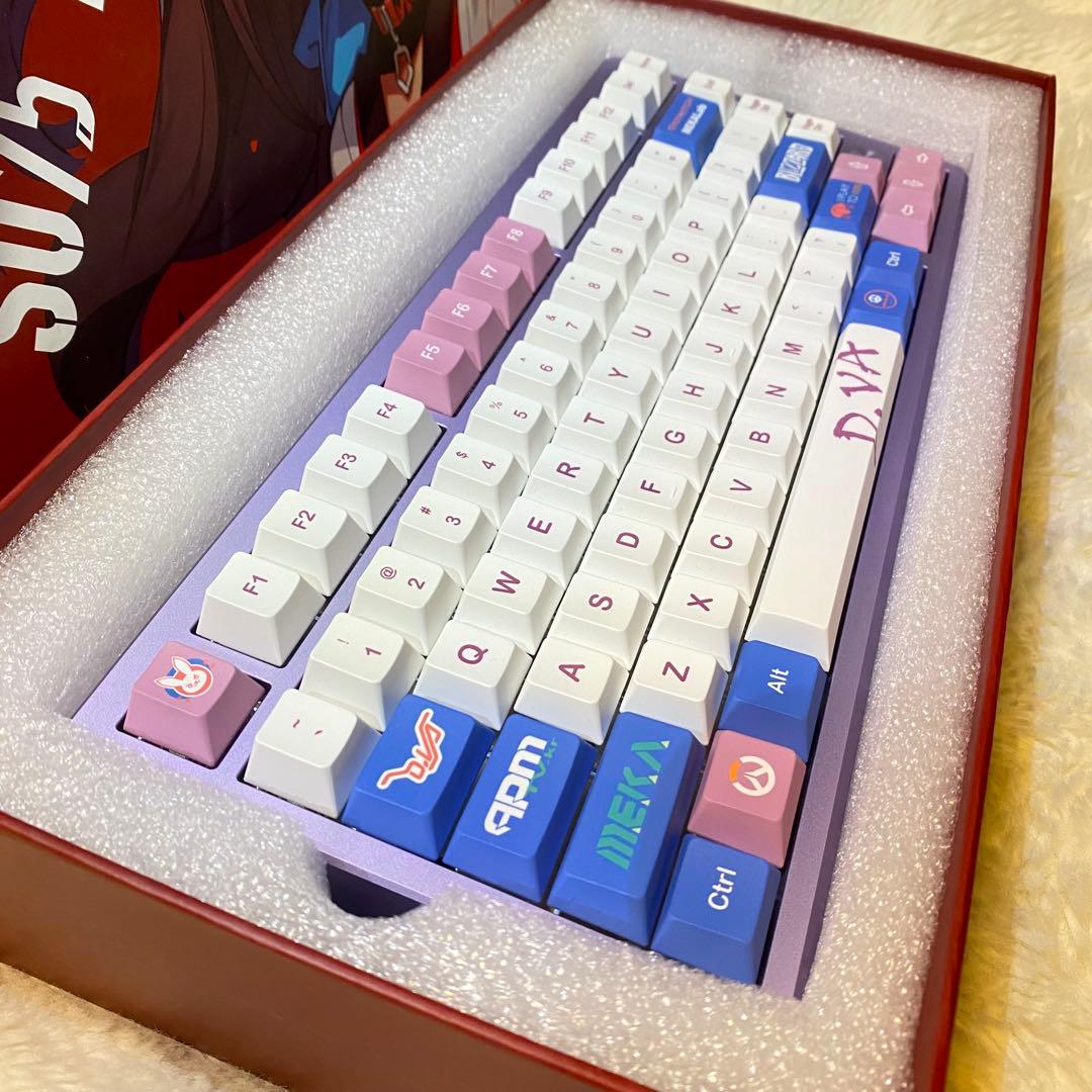 Evergride SU75 Youth 高性能ラピトリ 低遅延 状態◎