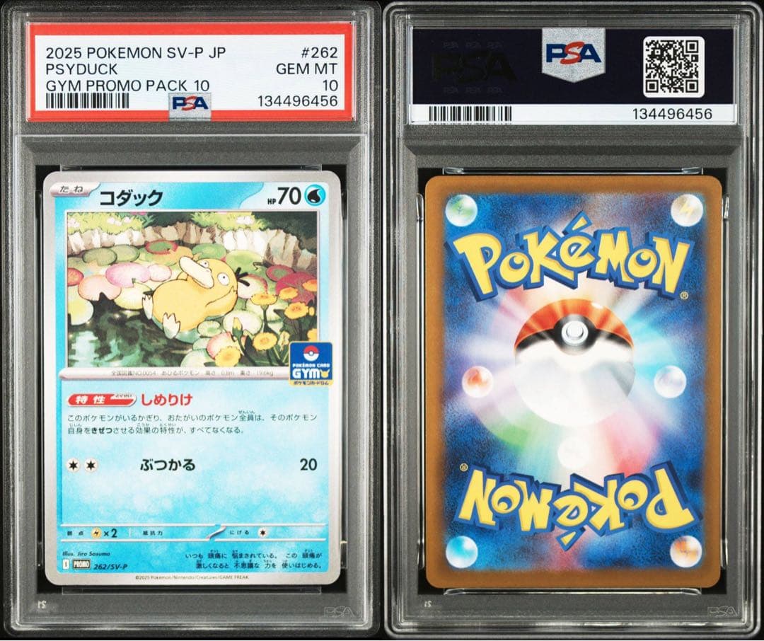 2025 ポケモン コダック GYM PROMO PSA10、6二枚セット鑑定品 - メルカリ