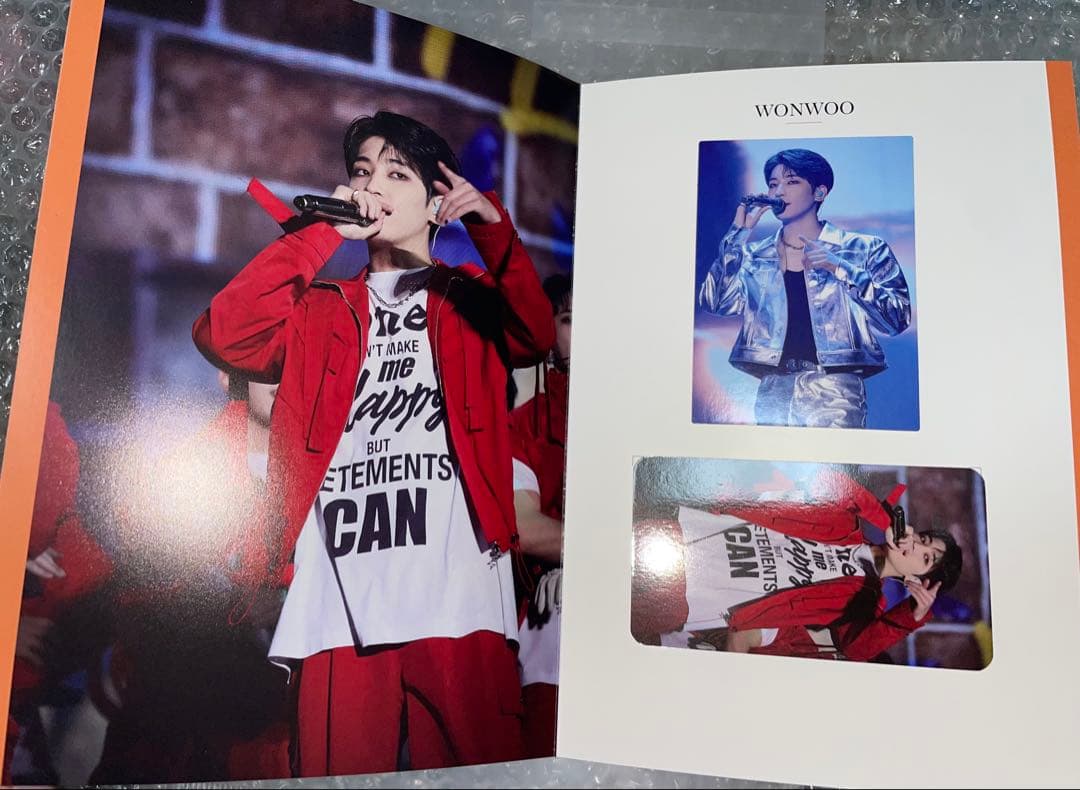 SEVENTEEN メモリアルカード 南海ラピート トレカ ウォヌ