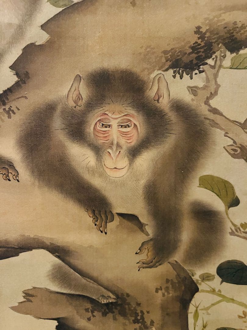 掛軸箱付き】森狙仙 親子猿之図 - メルカリ